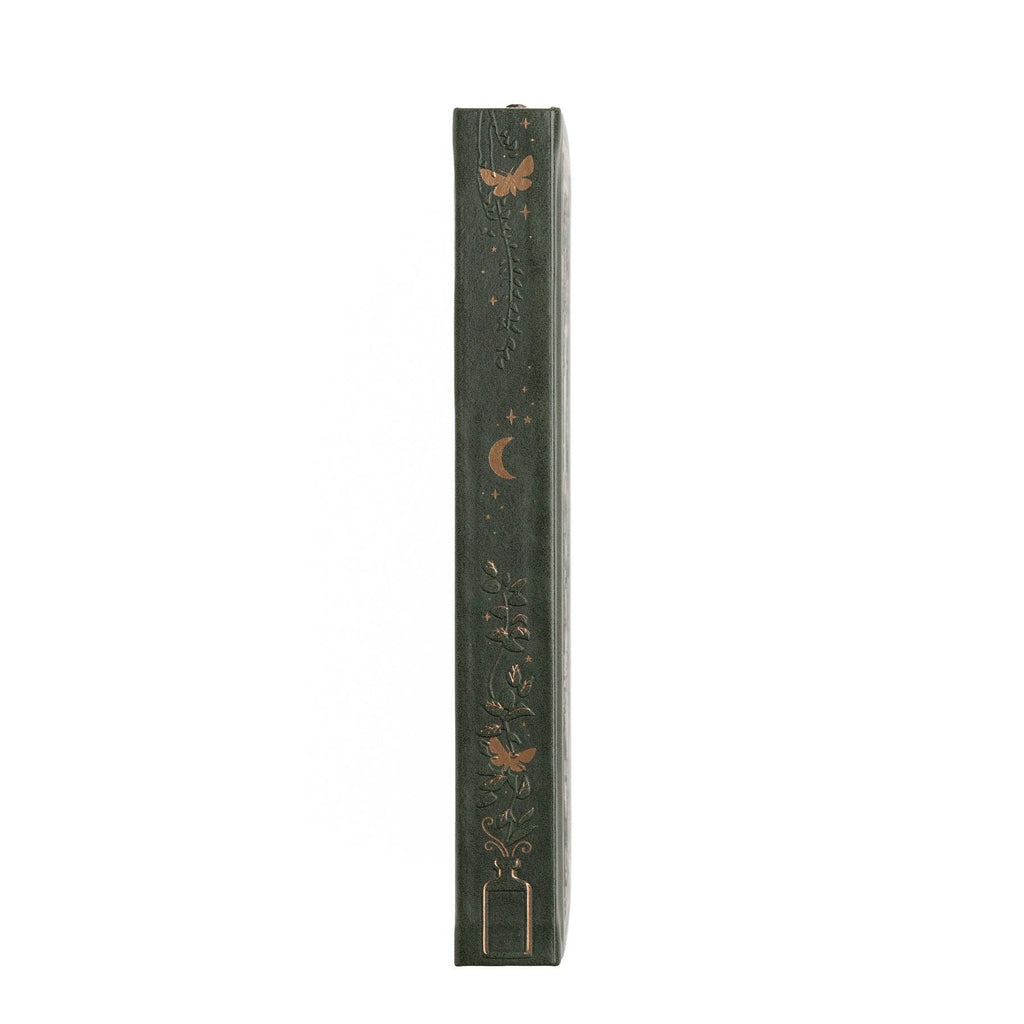 Archer and Olive - Apothecary Shelf Notebook