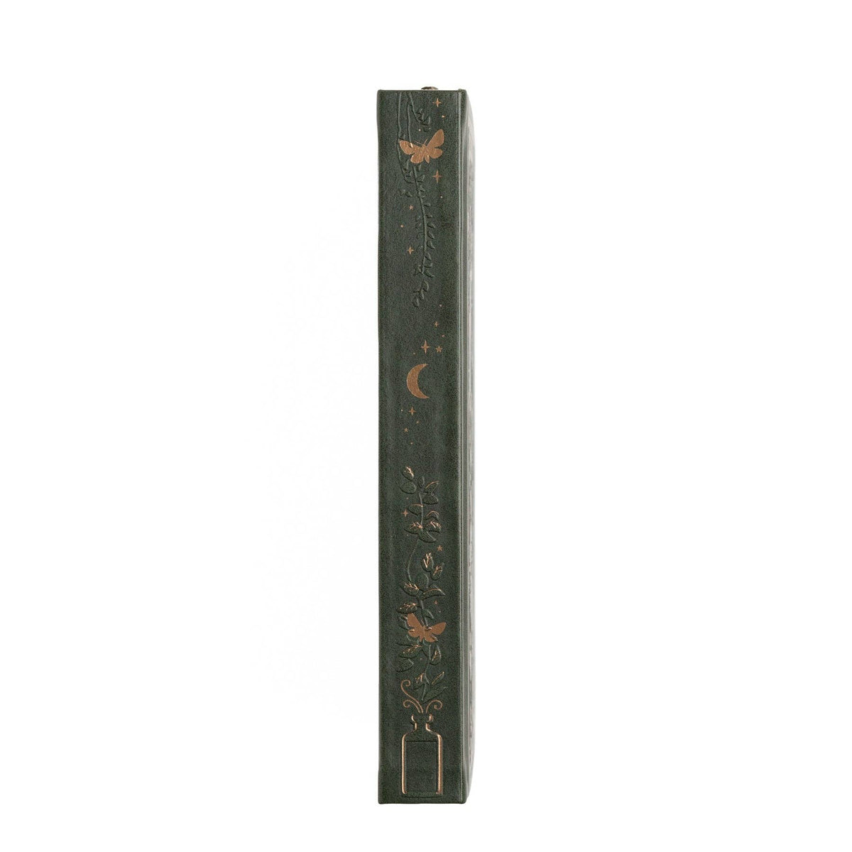 Archer and Olive - Apothecary Shelf Notebook