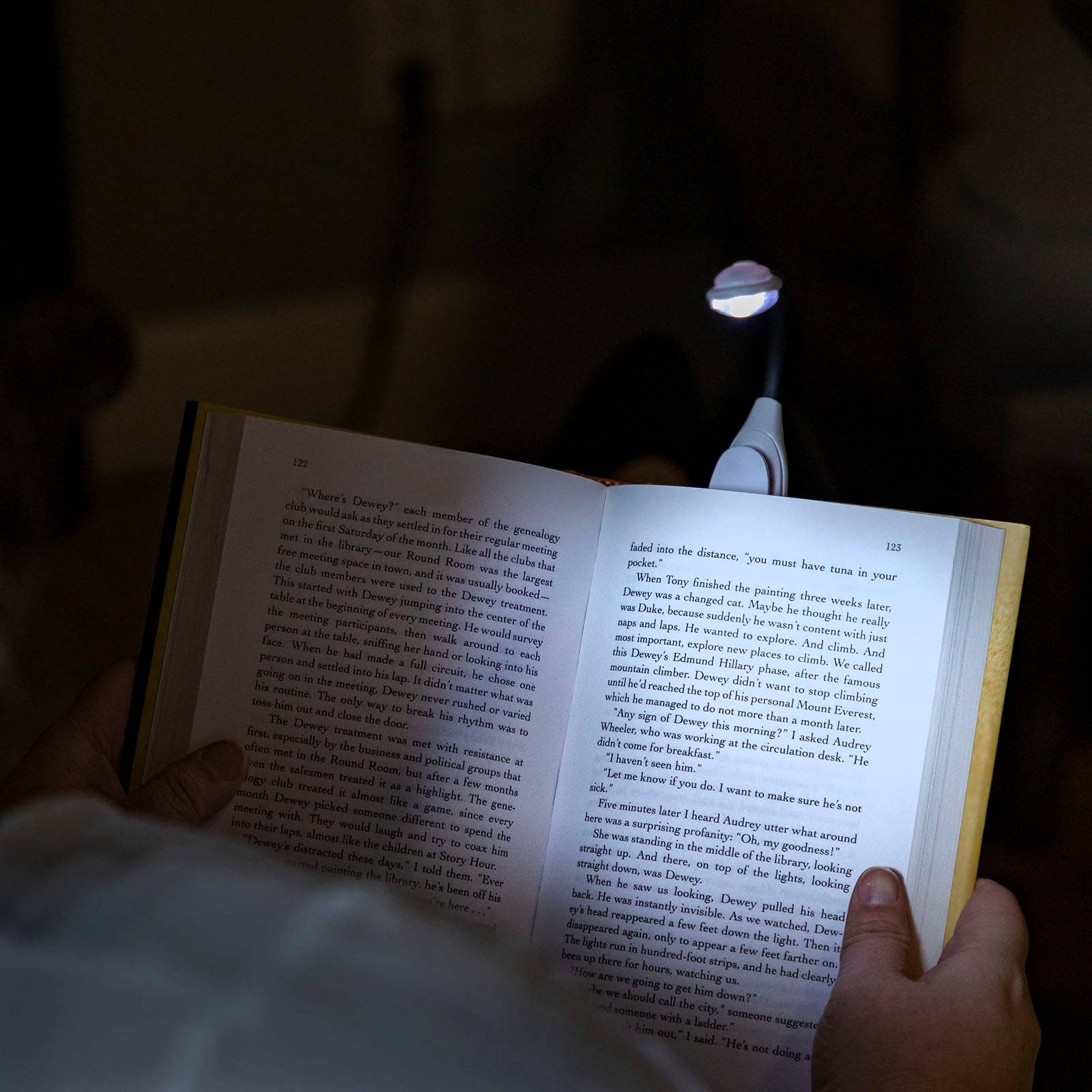 LitezAll Universal LED Clip On Light