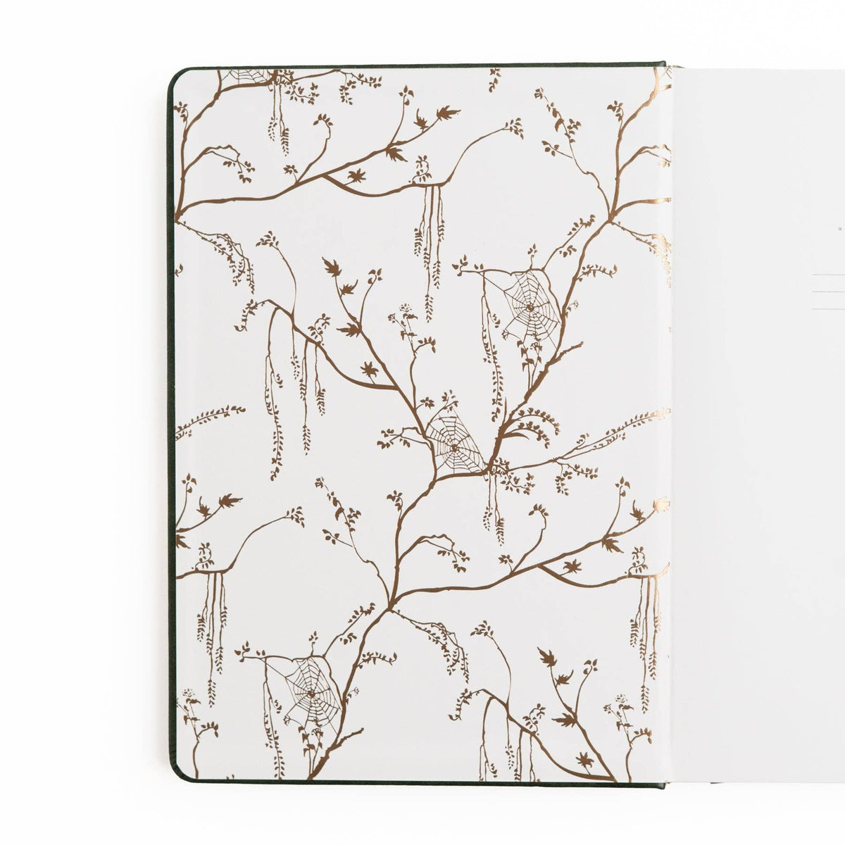 Archer and Olive - Apothecary Shelf Notebook