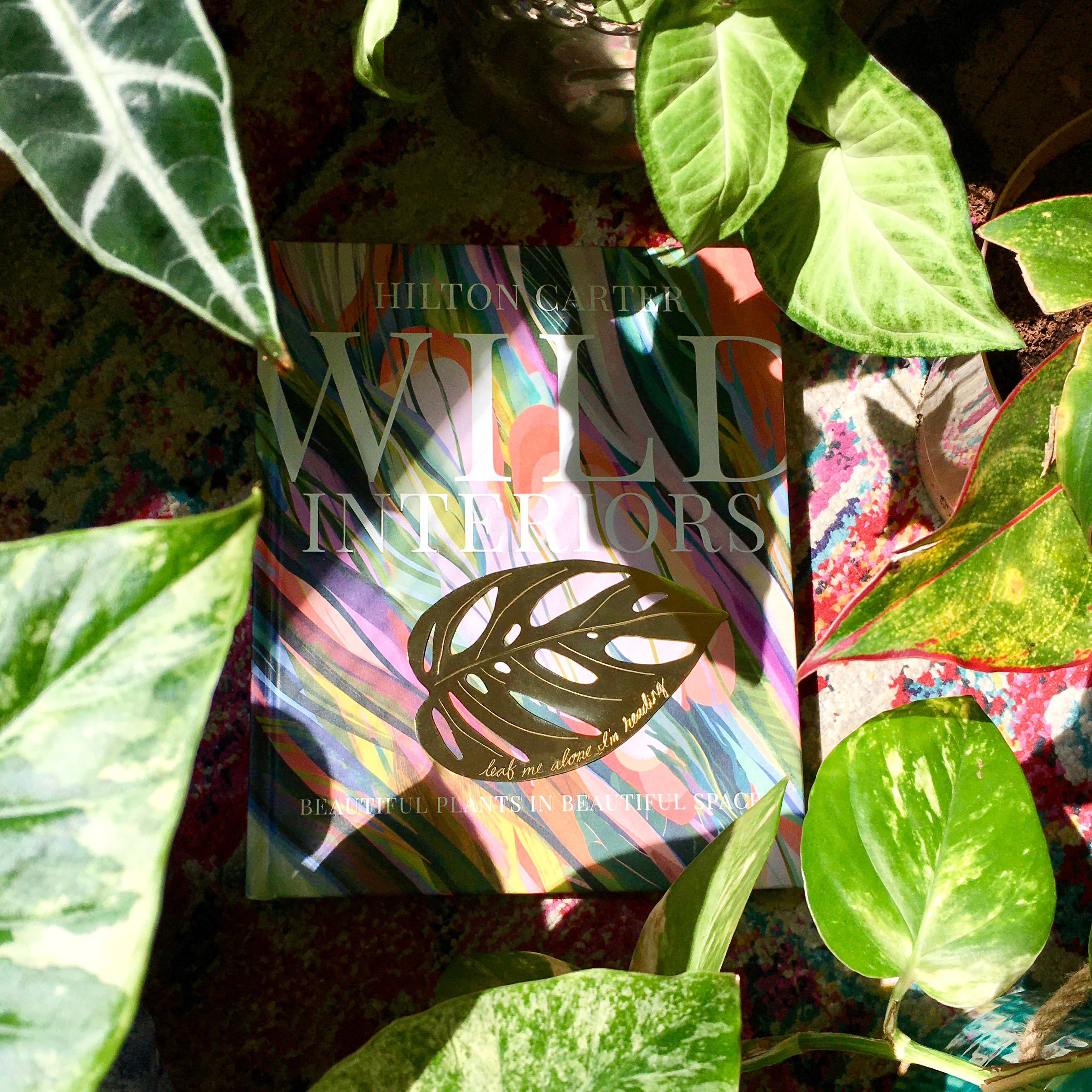 Monstera Adansonii Brass Bookmark