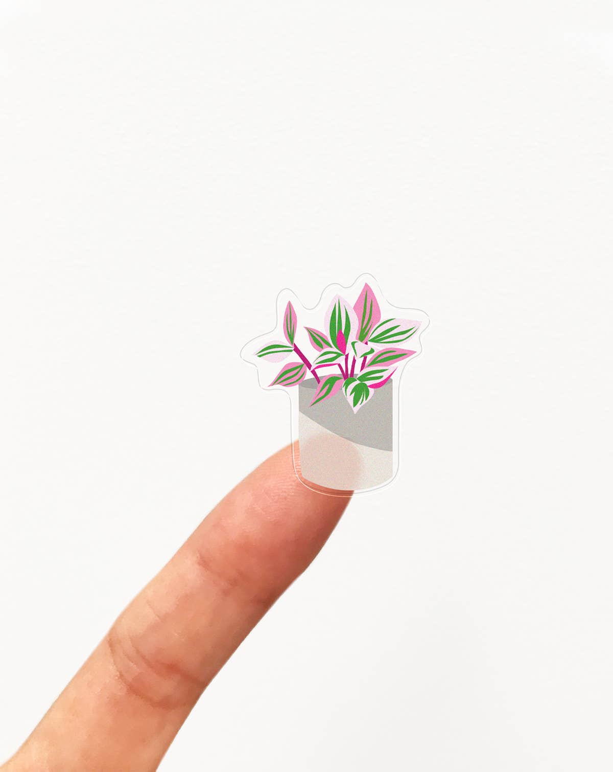 House Plants Clear Stickers