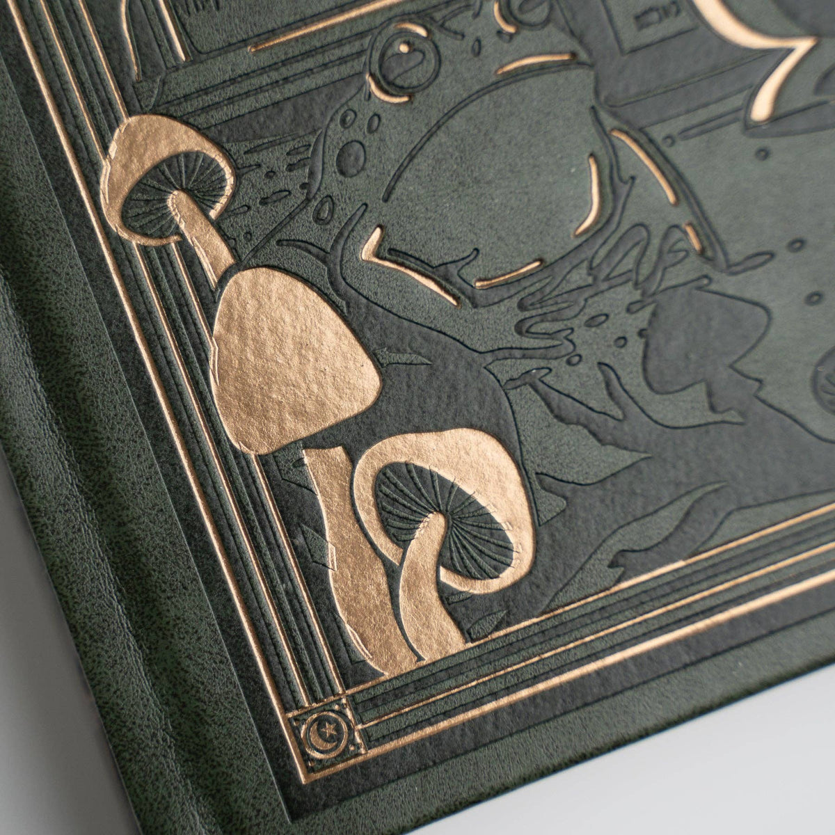 Archer and Olive - Apothecary Shelf Notebook