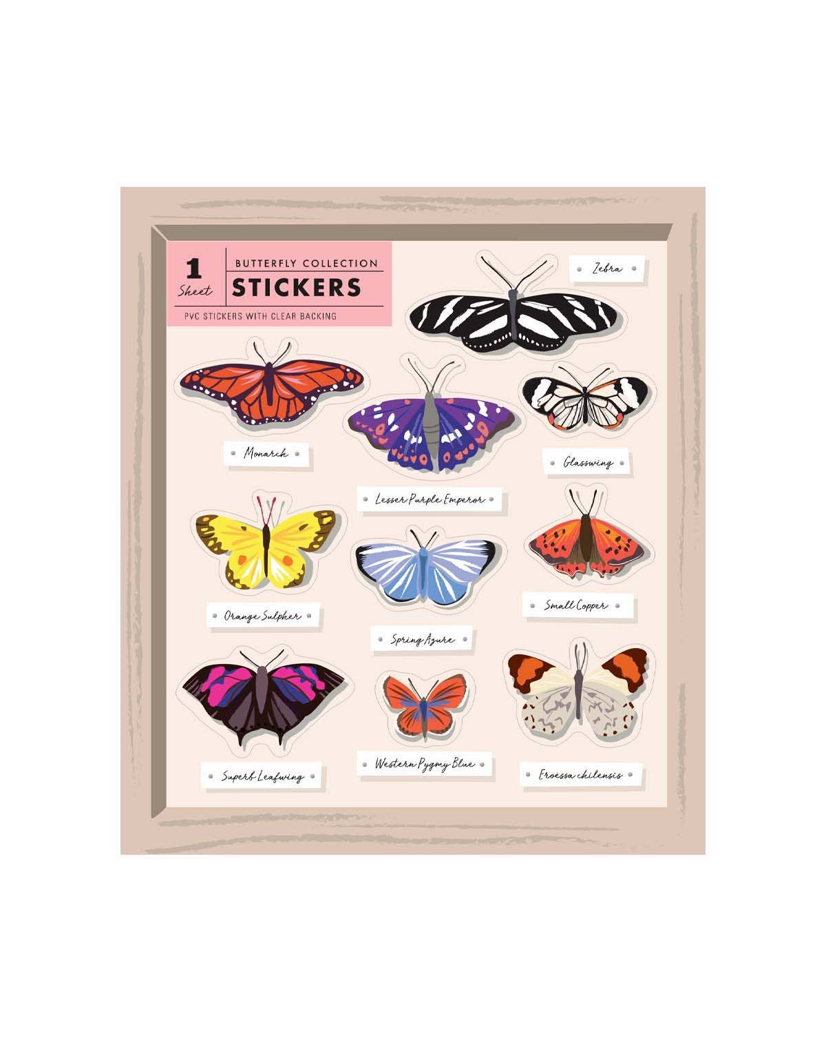 Butterfly Curio Collection