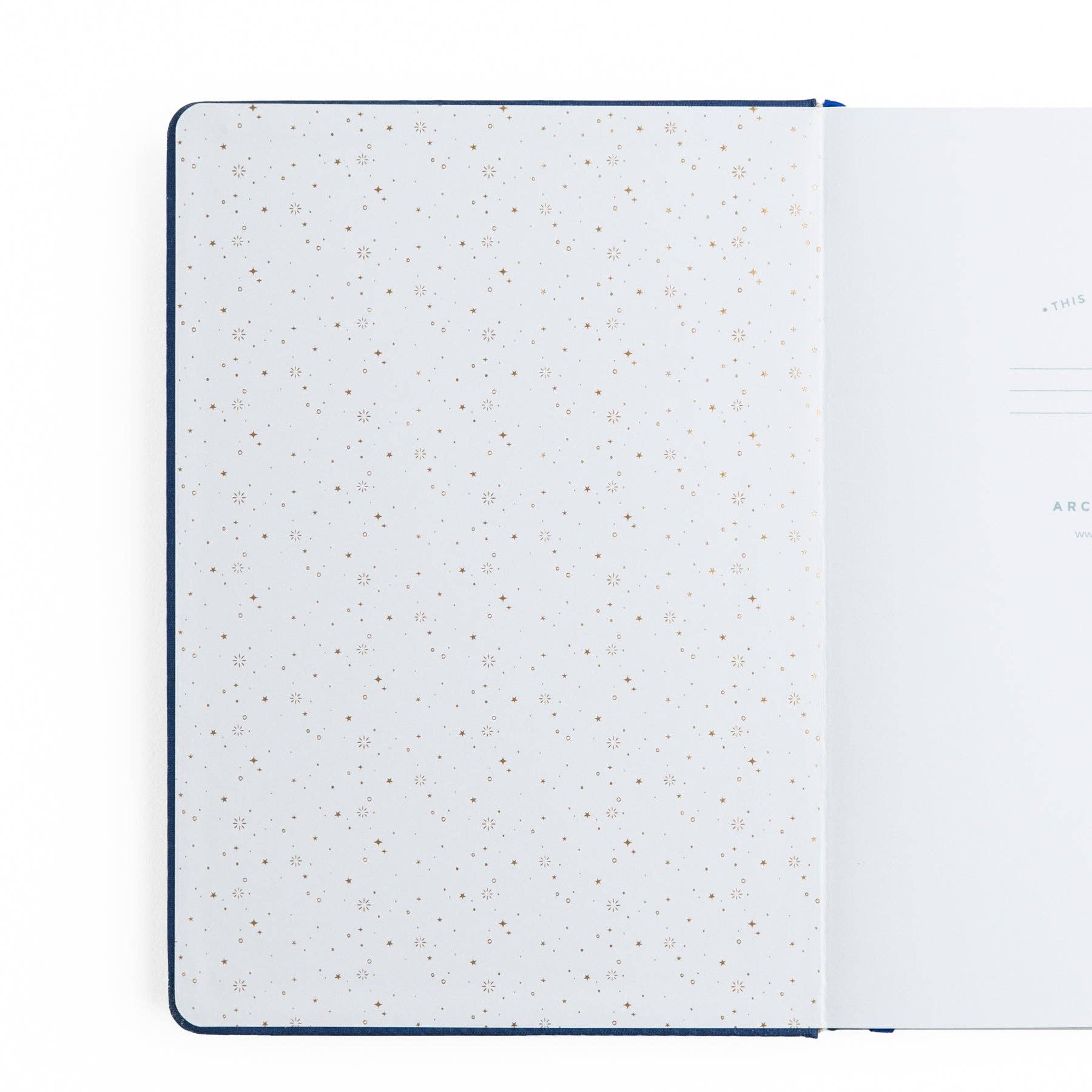 Firefly Night Notebook (8x8 Dot Grid)