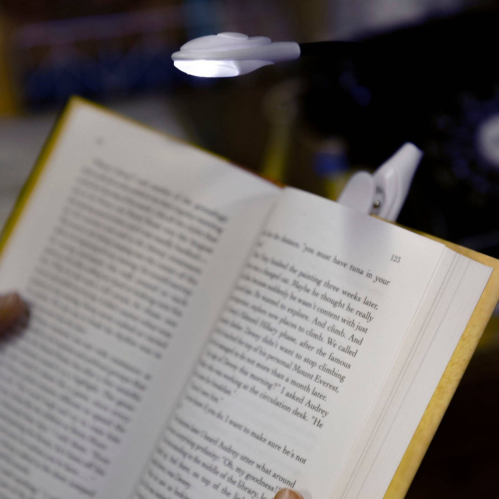 Book with a small light attached to it, likely for reading in low light conditions.